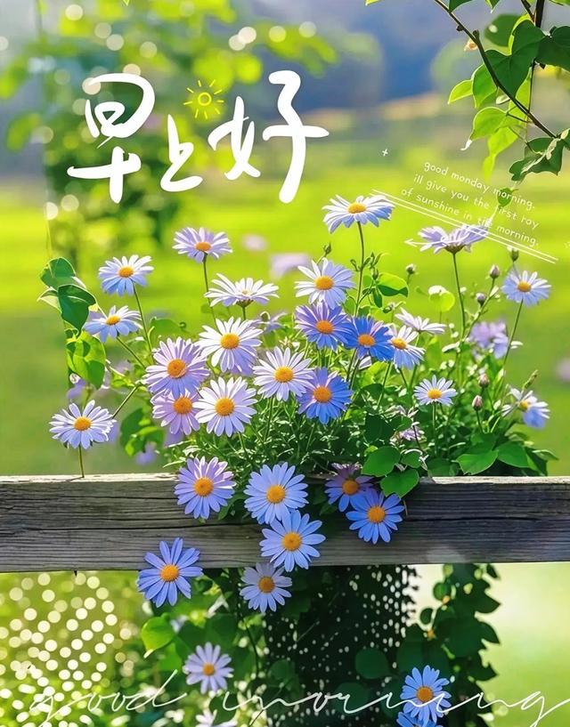 2025年10月7日早上好 早安周二愉快 早安精美美图温馨祝福语 早上好