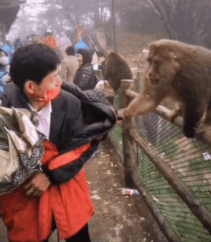 远离禽兽