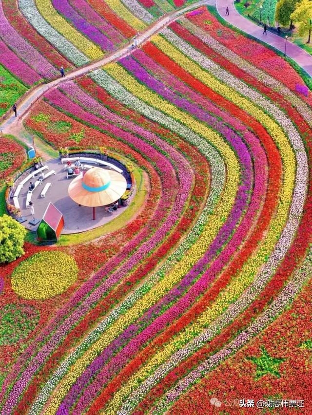 10月第5期(5天)点评