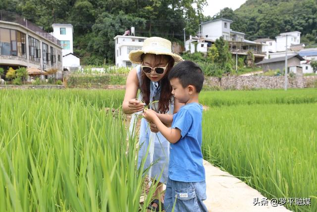 清凉罗平引客来 避暑旅居正当时
