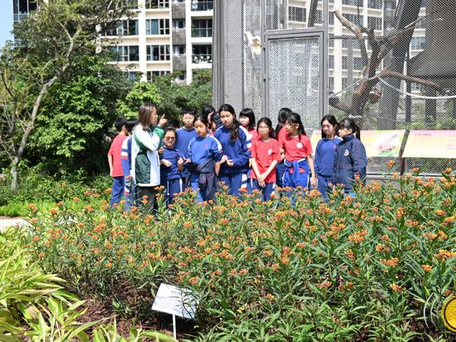 【相聚此周】拥抱自然生态——石排湾郊野公园新元素