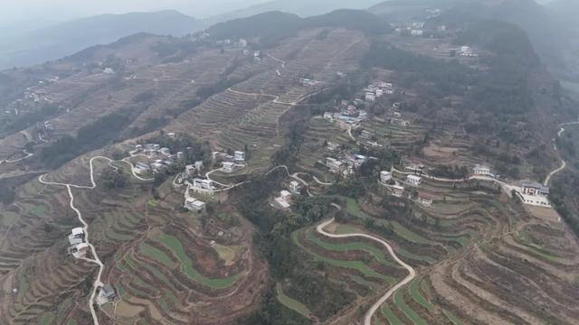 开州南门月耳山:童年仰望的雪顶,现藏着一片即将惊艳春天的秘境