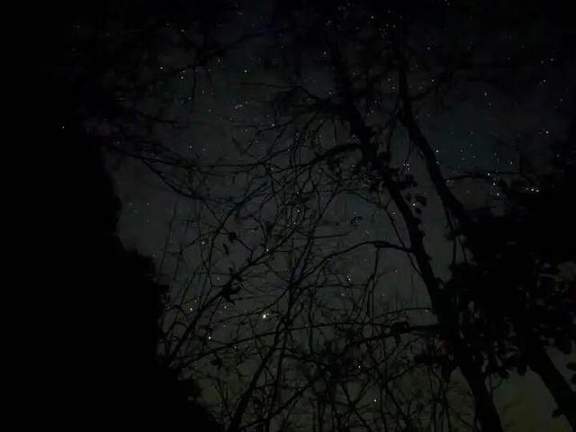 “再往前走一步，就是悬崖！”驴友迷路被困漆黑山中，随手拍下的一张照片，救命了！