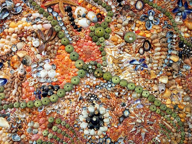 非洲旅游：难忘南非观光之旅纪行（图）