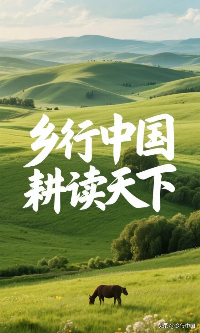 593万人的青海省，三江发源地，联结西藏新疆甘肃四川的大美高原