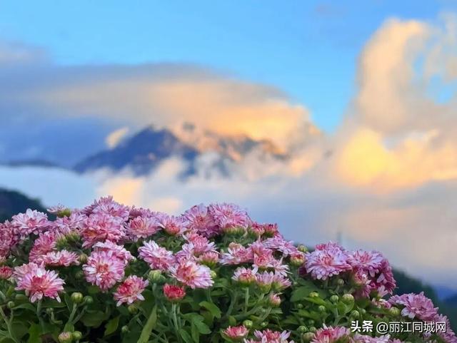 玉龙雪山“日照金山”C位出圈！成为国庆中秋双节热议话题