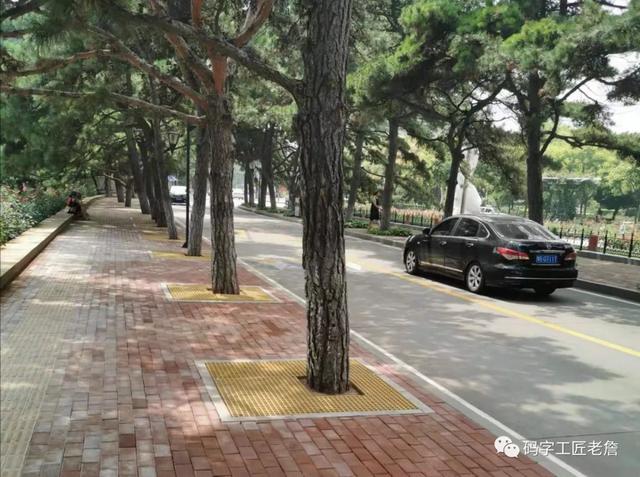 盛夏,我和杨乔在北戴河