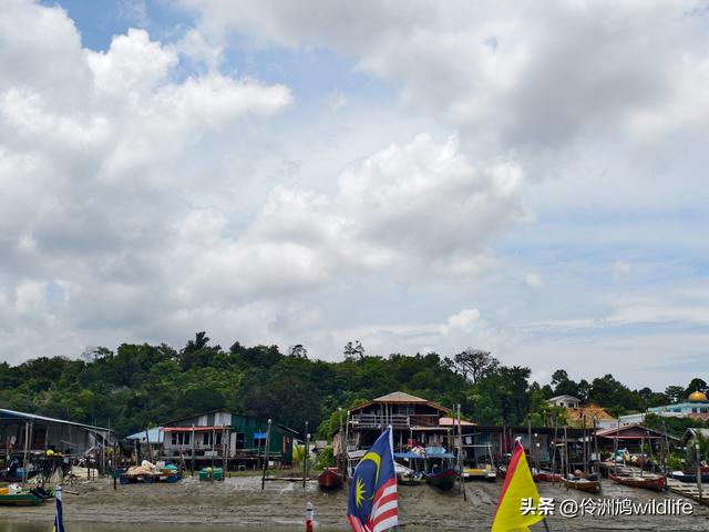 马来西亚(35)砂拉越州⑨峇哥国家公园徒步线路