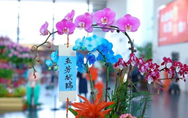 中国园林博物馆十二月活动清单