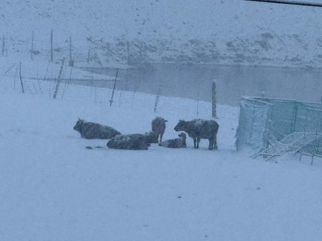 【秋驾长江】我从极高海拔地区玛多首场大雪中走出