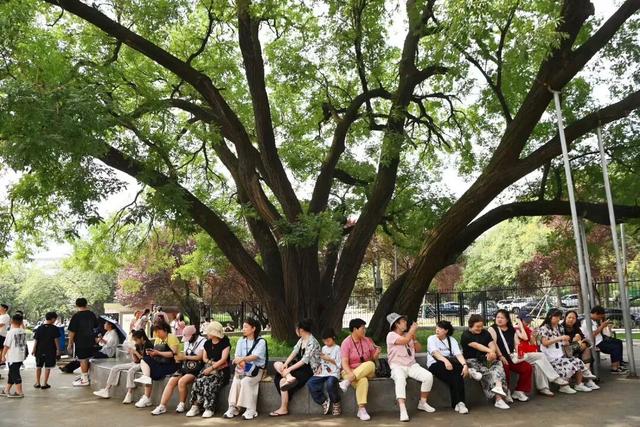 秦陵博物院元旦假期开放公告