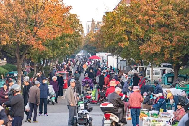 打卡限时浪漫，一键收藏隐珠街道最美秋色！