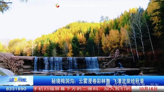 秘境梅洞沟：云雾漫卷彩林舞 飞瀑流泉绘秋章