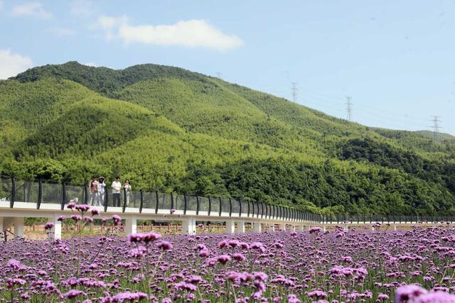 总奖金16万！奉化“云边小镇”邀您当推荐官