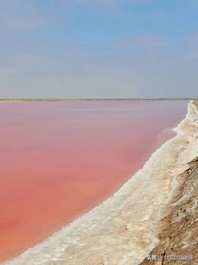 同事背着我们成了“南非旅游大使”？|中国自驾地理