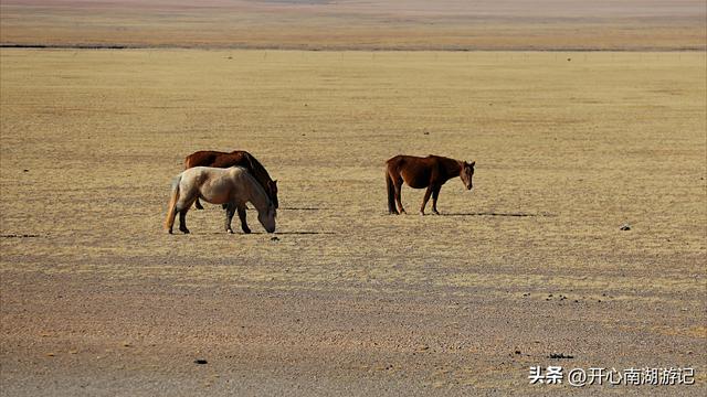 喀什经317到成都，改则-尼玛，途径大地之树、洞措湿地自然保护区