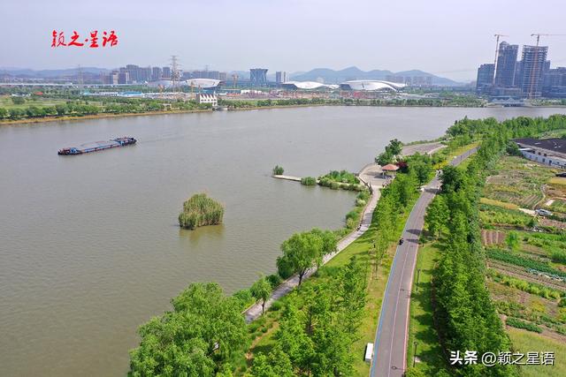 姚江南岸健身步道，美丽月见草花开成海，在水一方