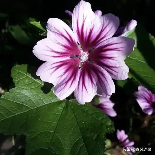 敢拉黑男人的女人,爱情面前,她们到底在想什么