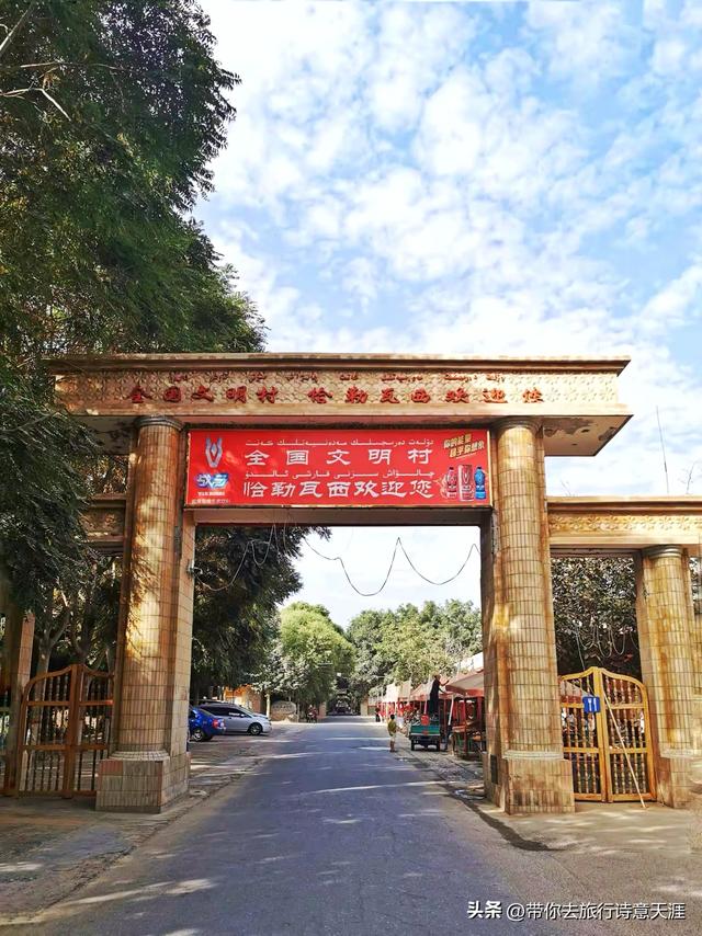 昆仑山上一棵草，昆仑山下核桃王