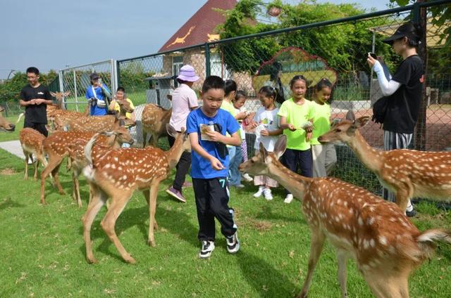 潍坊人有自己的“疯狂动物城”！冲！冲！冲！