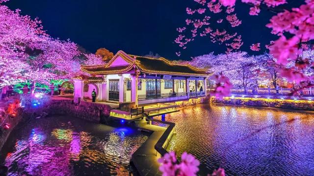 刚刚！鼋头渚官宣延长营业时间！