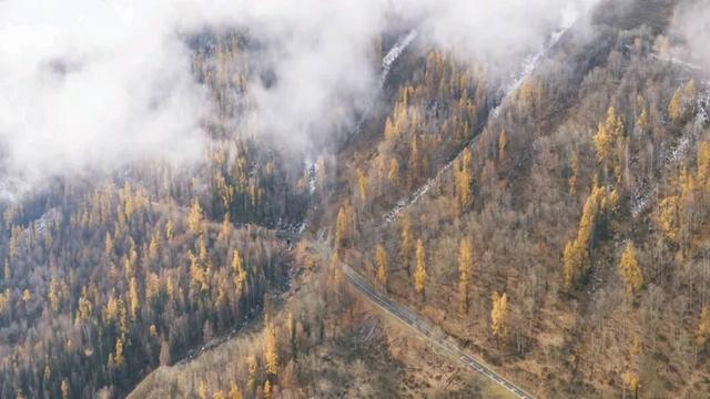 云雾缭绕 喀纳斯驼颈湾