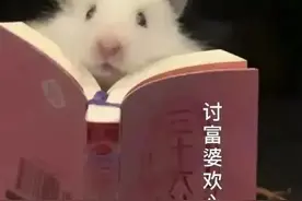 可爱表情包｜ 讨富婆欢心图片