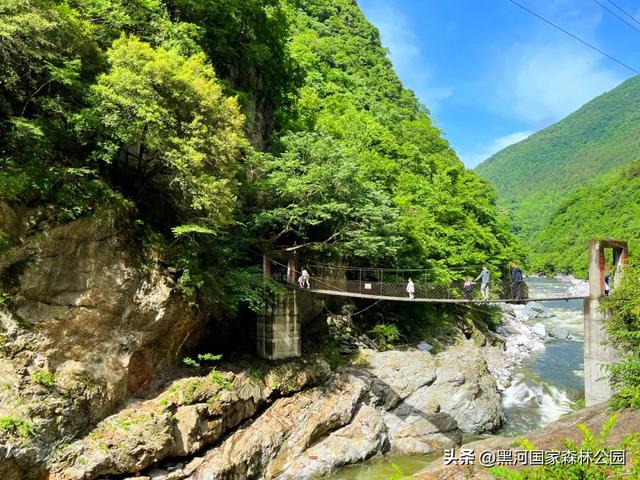 周末2h自驾消暑游,在黑河开启夏日清凉模式!