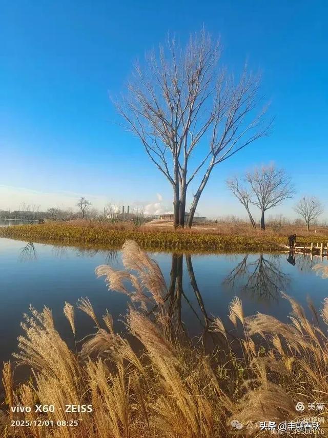 初冬北京朝阳坝河金盏淀:清寒里的静美画卷|申艳娟