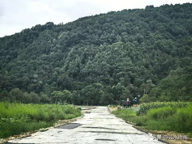 驱车走秦岭大梁高山草甸“风车天路”，走了那么长的路，值不值？