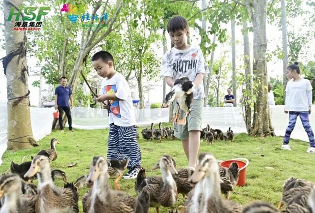 “文艺范”带动“旅游热”——海口国庆假期文旅融合成效显著