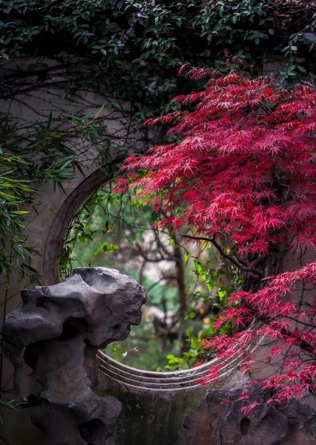 来虎丘山，这里有你更好看！