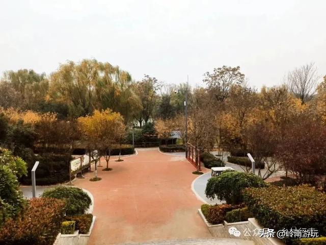 全部免费!渭河南河堤路赏秋攻略大全,那风景简直美爆了!