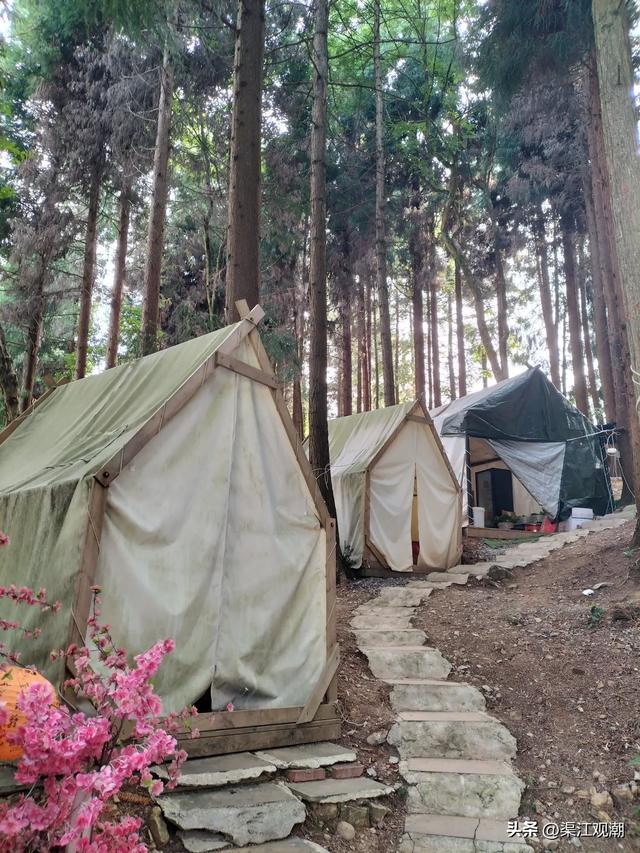 华蓥山旅游区“清凉+暖心”引客来数万游客乐享22℃盛夏