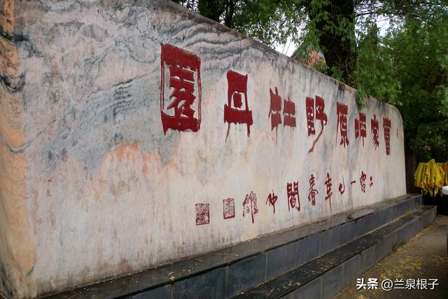 中国紫斑牡丹的故乡临洮曹家坪牡丹进入盛花期