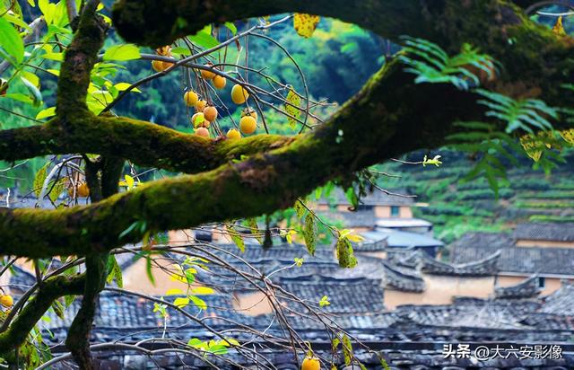 六安摄影师跨越山河万里 定格中国好风光