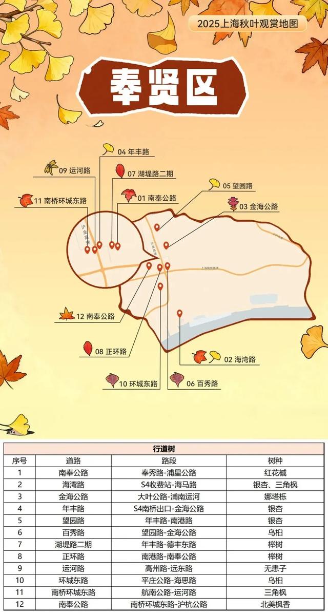 2025上海秋叶地图出炉,徐汇这些点位不可错过!