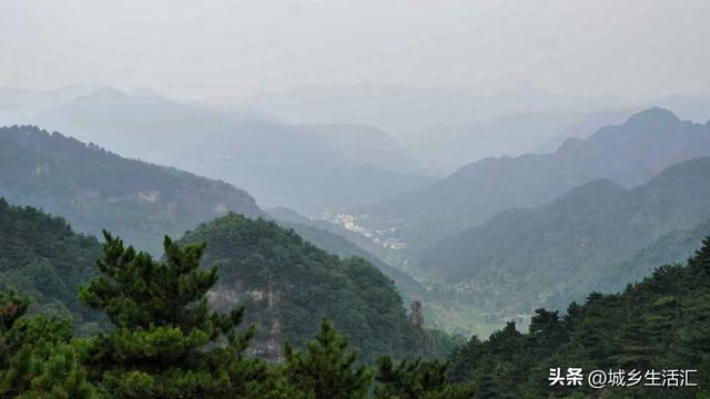 山上的野花为你开 从锡崖沟经王莽岭隧道到达太行之巅东庙华村