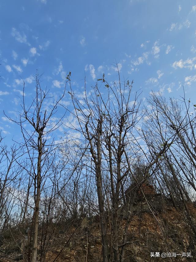 无限风光在险峰，美好夕阳无限好，黄昏时刻与之携手，看美景美图