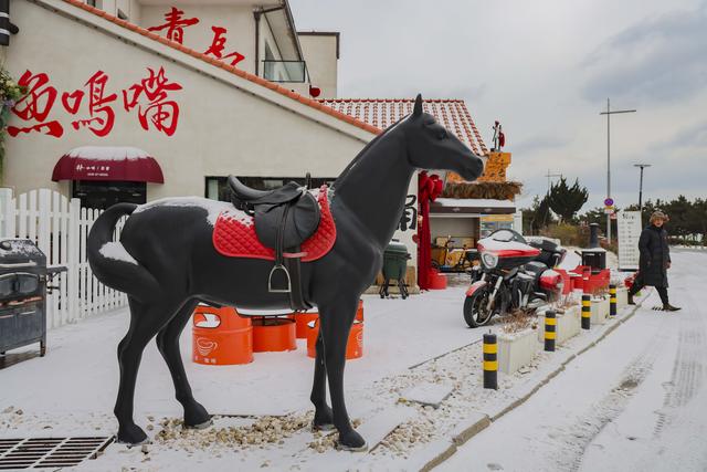 青岛西海岸新区，走进冰天雪地，今天是大寒！