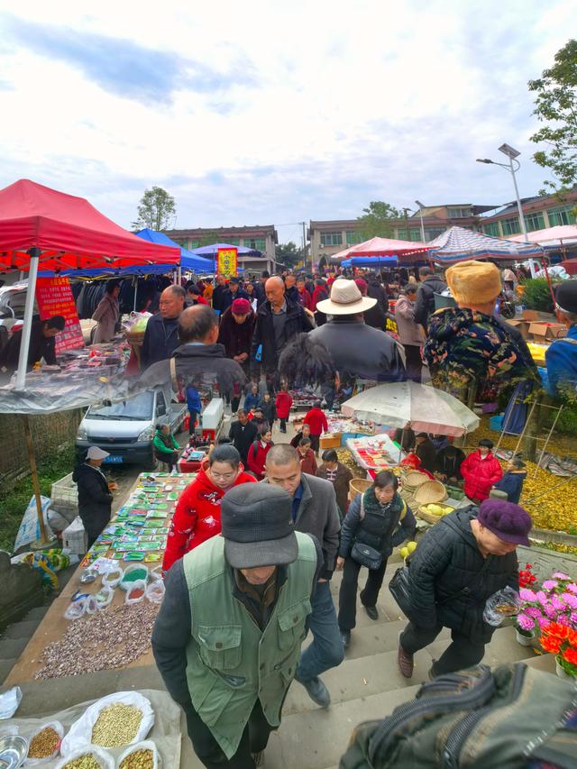 周末邛崃游记：藏在古镇里的烟火与温情