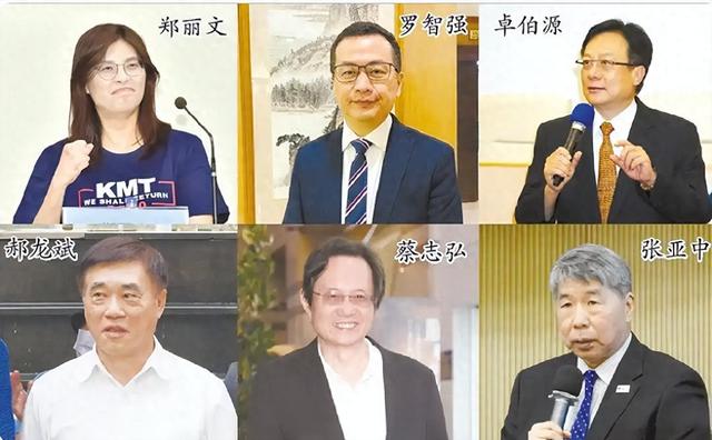 蓝营改选6人混战，郝龙斌获得优势，关键时刻，洪秀柱一锤定音
