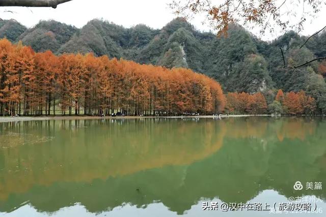 龙池秋色惹人醉