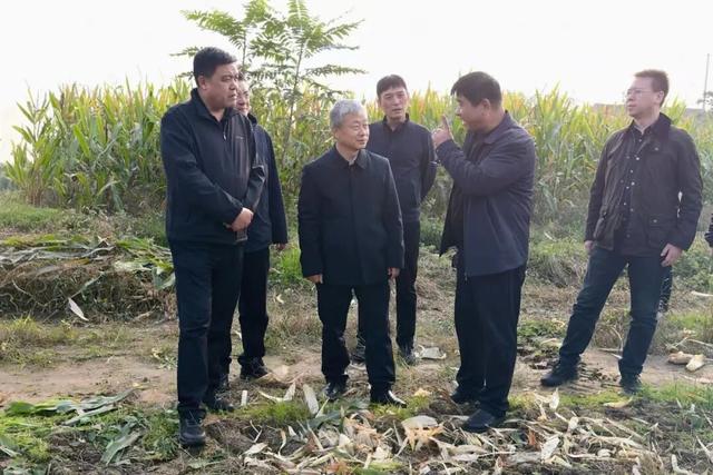 我省推出6条自驾旅游线路，途经临汾2处美景/1—8月全市金融市场稳健运行/霜冻蓝色预警