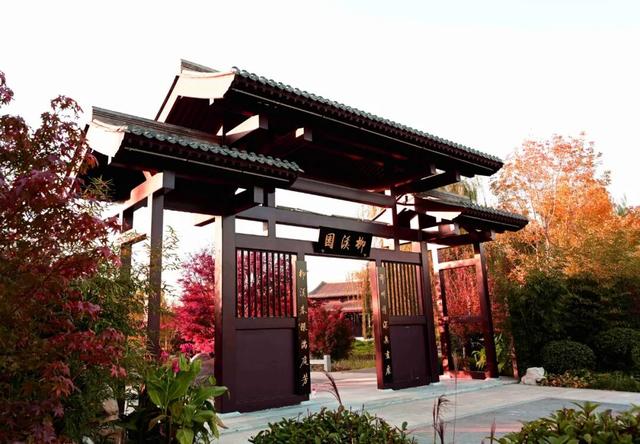 打卡定州限定秋景！