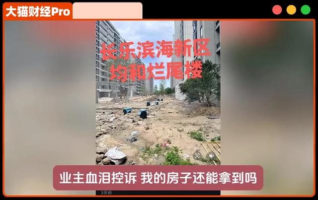 纸糊的2500亿巨头，老板去了日本