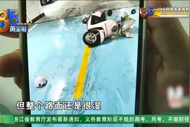 到底有多滑？母女俩和车，直接滑出了屏幕......图片