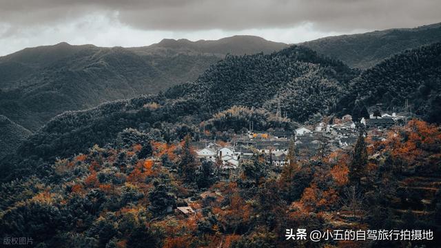 宁波四明山 2 日秋游攻略：红枫水杉 + 自驾避坑