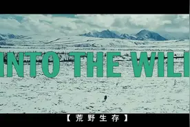《荒野生存》：轰动一时的“阿拉斯加之谜”，你一生究竟要什么？图片