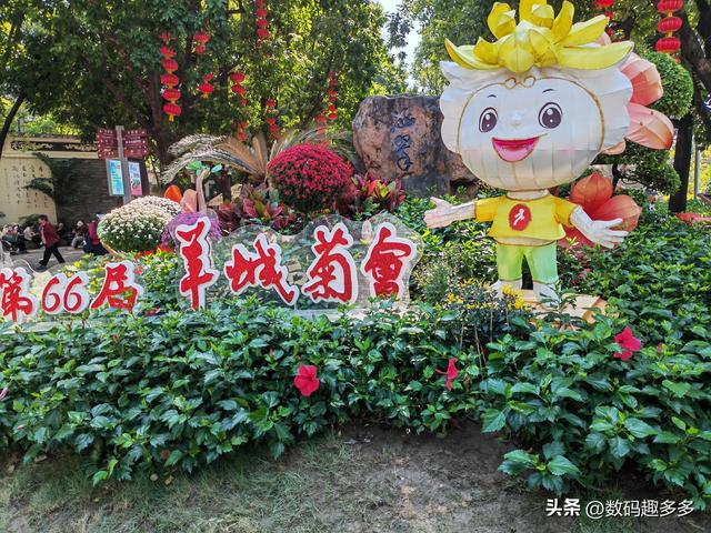广州66届羊城菊花展，快来看打卡攻略